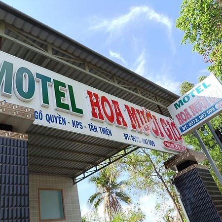 ホテル Nha Nghi Hoa Muoi Gio Tan Tao エクステリア 写真